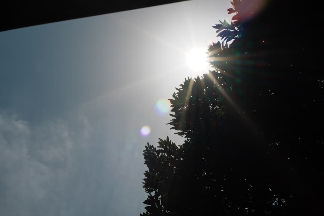 【極美品】ニコン Ai-s Nikkor 50mm F1.4 大口径 497