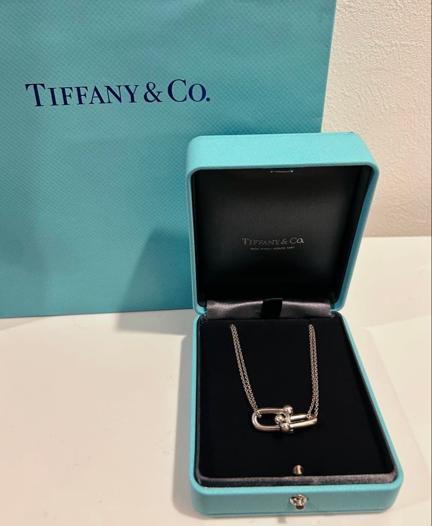 Tiffany & Co. ハードウェア　ラージダブルリンクネックレス