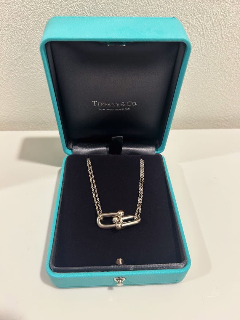 Tiffany & Co. ハードウェア　ラージダブルリンクネックレス