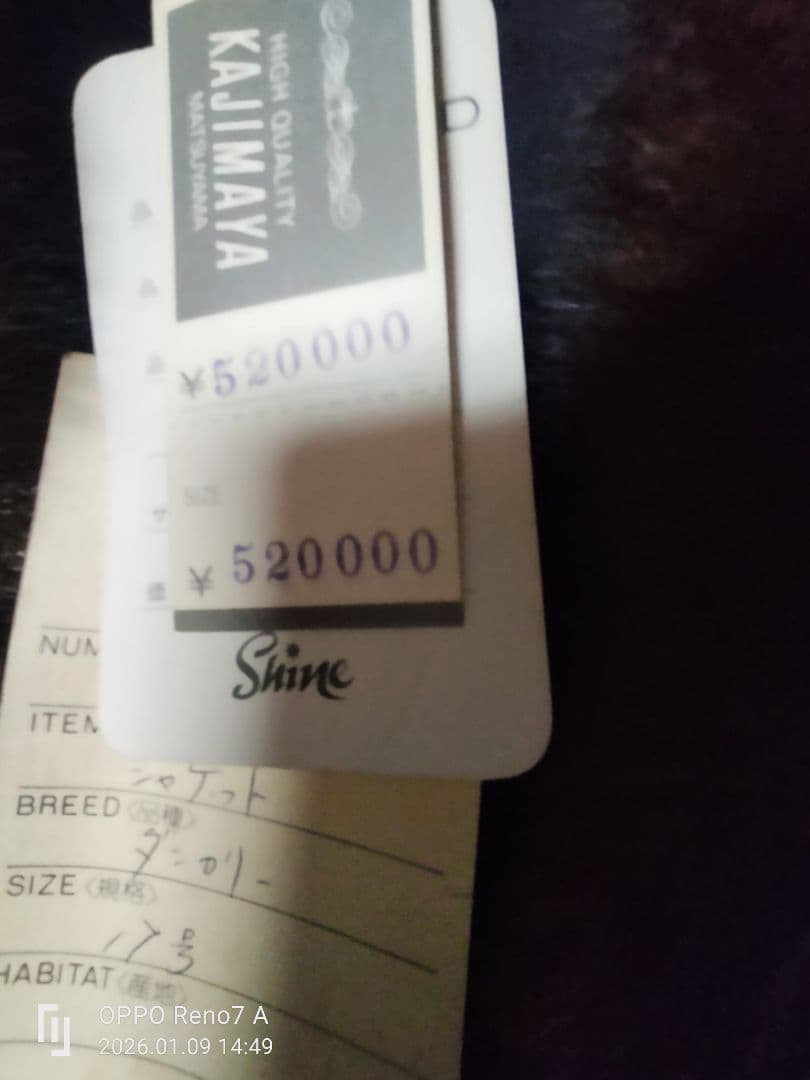 毛皮ファーコート L 黒