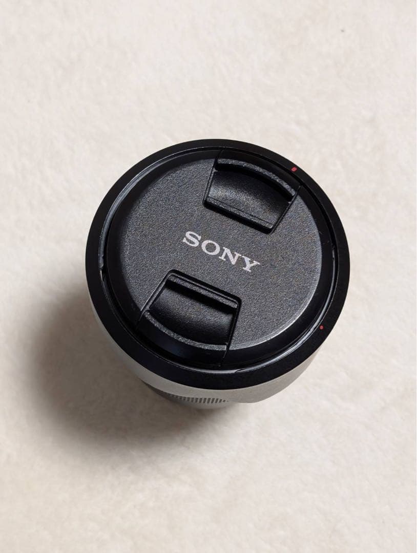 SONY FE 24-105mm F4 G OSS レンズ