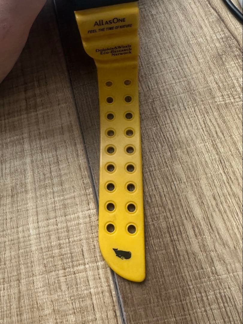 CASIO G-SHOCK GW-204k フロッグマン