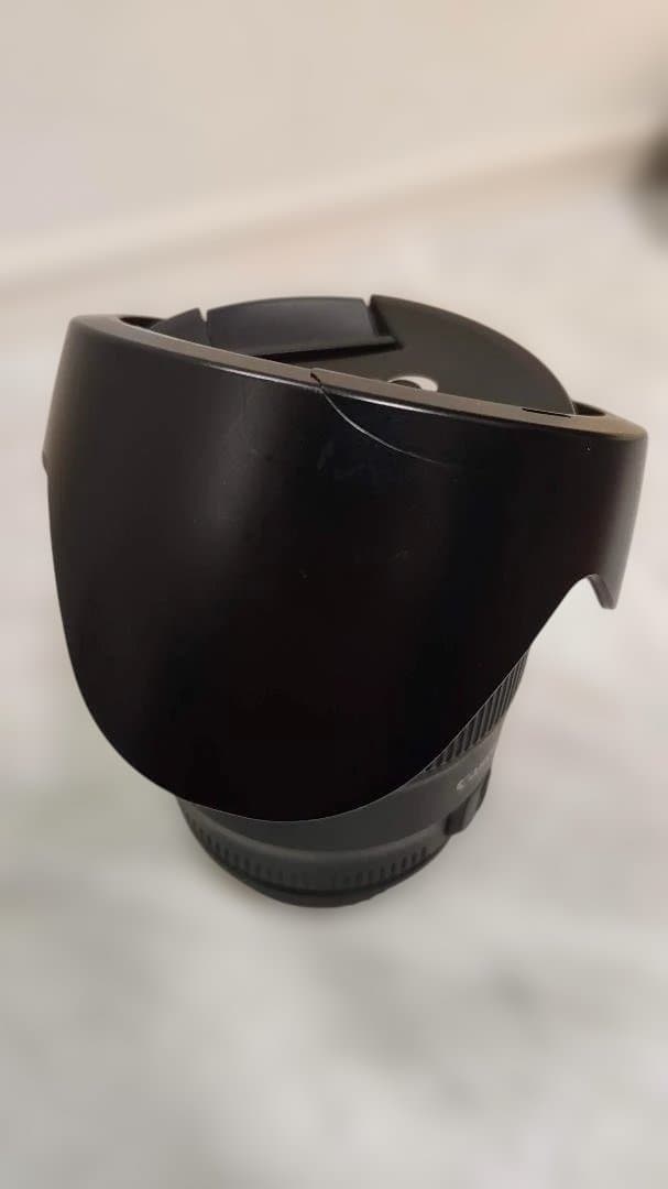 キャノン Canon EF 24mm f/1.4L II USM 単焦点レンズ