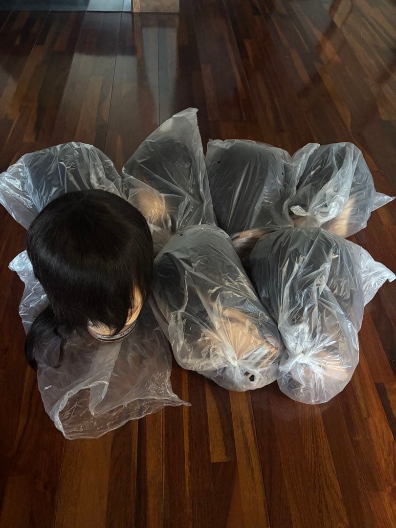 美容師国家試験 カットウィッグ 試験用 7体(新品未使用)