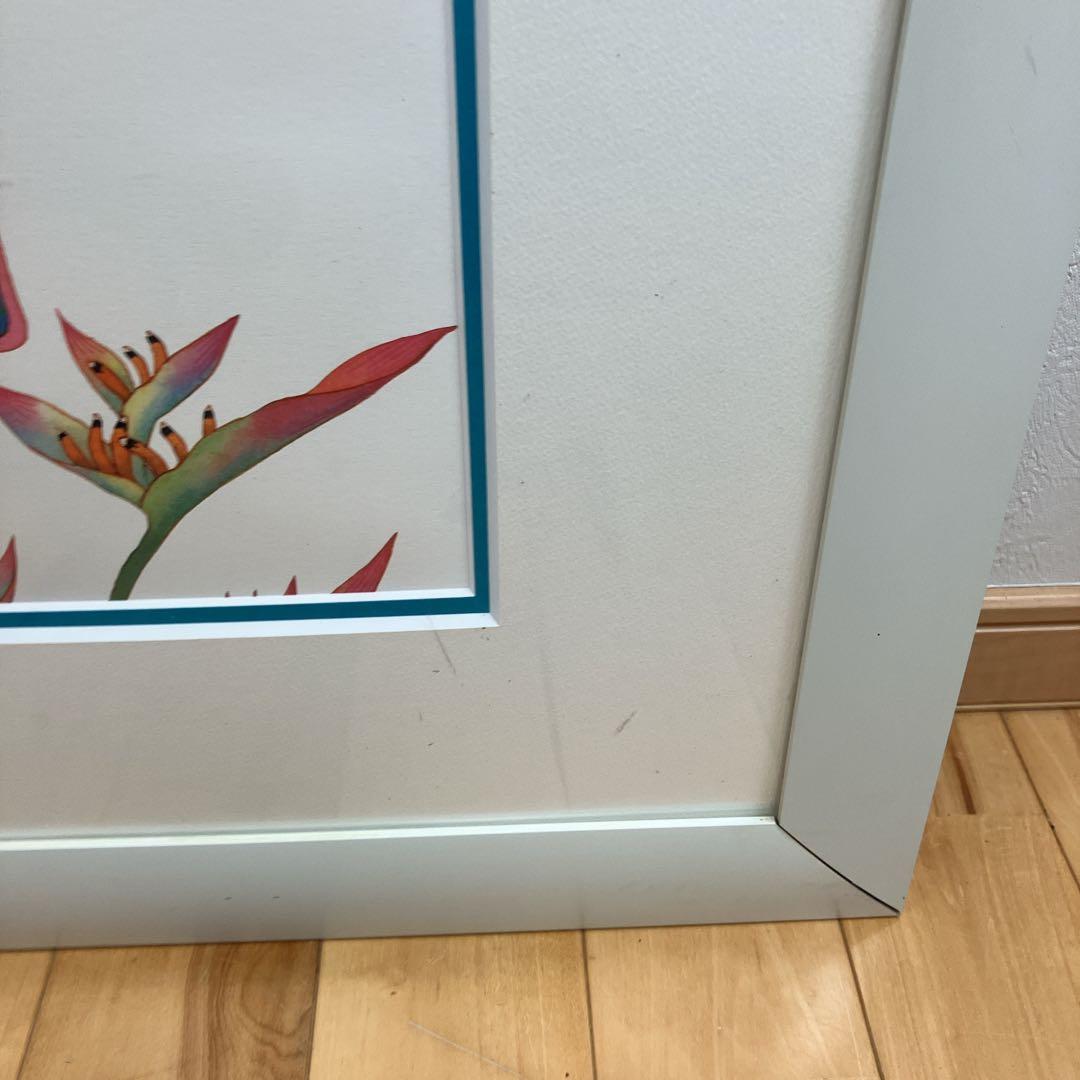 希少　ジョアン フック 絵画　リトグラフ　熱帯の動物たち　235/900