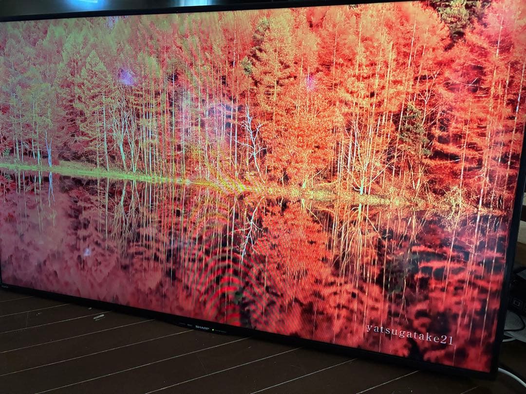 SHARP シャープ50インチ LC-50W30