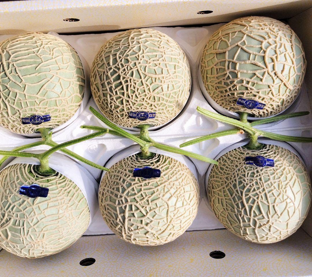 D*＋様 高知産　訳あり温室マスクメロン　６玉入7.2kg 家庭用　北海道沖縄発