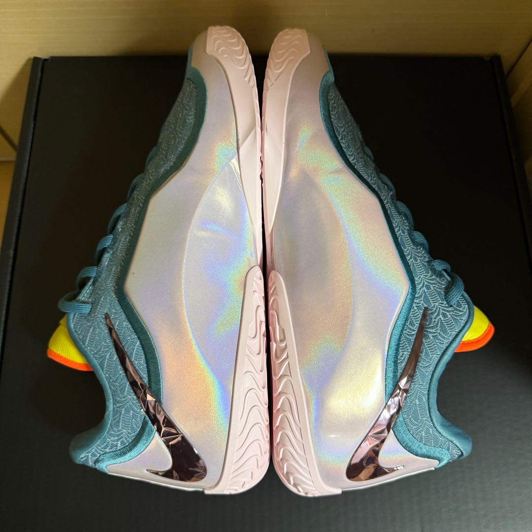 着用約30分 NIKE LEBRON 23 Miami Twice 30cm