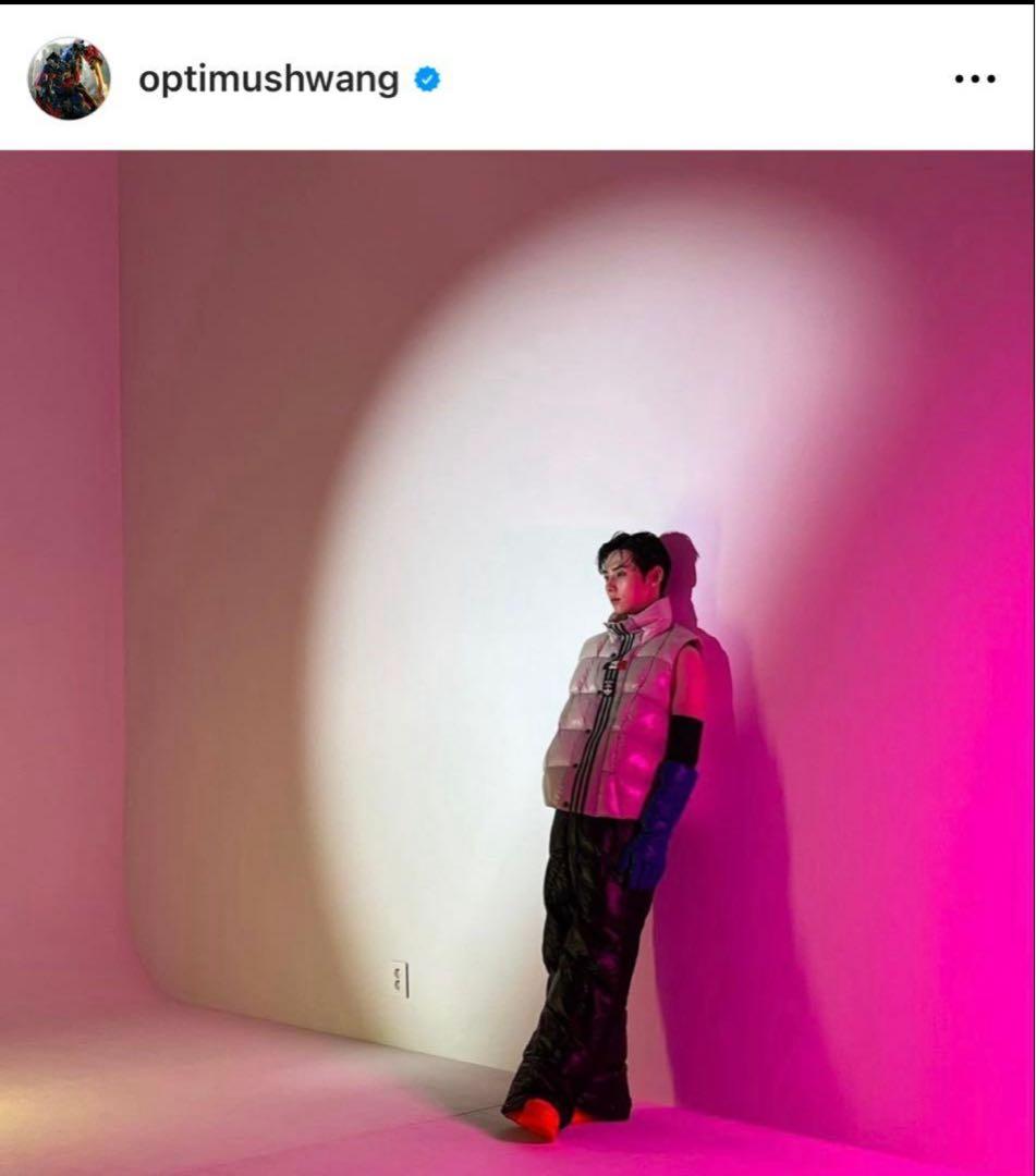 定価171600円Moncler x adidas ダウンベスト