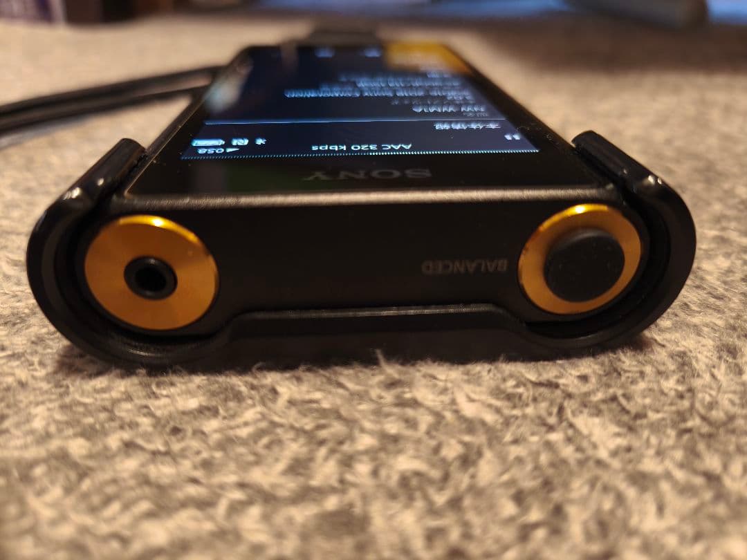 SONY WALKMAN NW-WM1A　純正ケースCKL-NWWM1 付