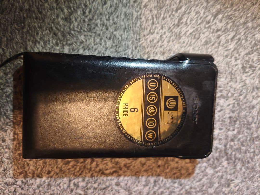 SONY WALKMAN NW-WM1A　純正ケースCKL-NWWM1 付