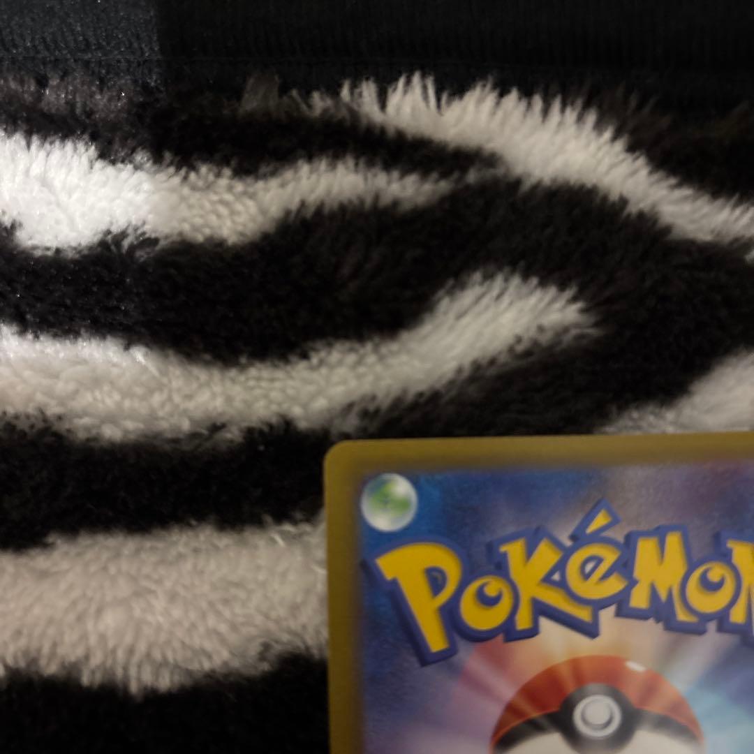 ミュウツーex sar