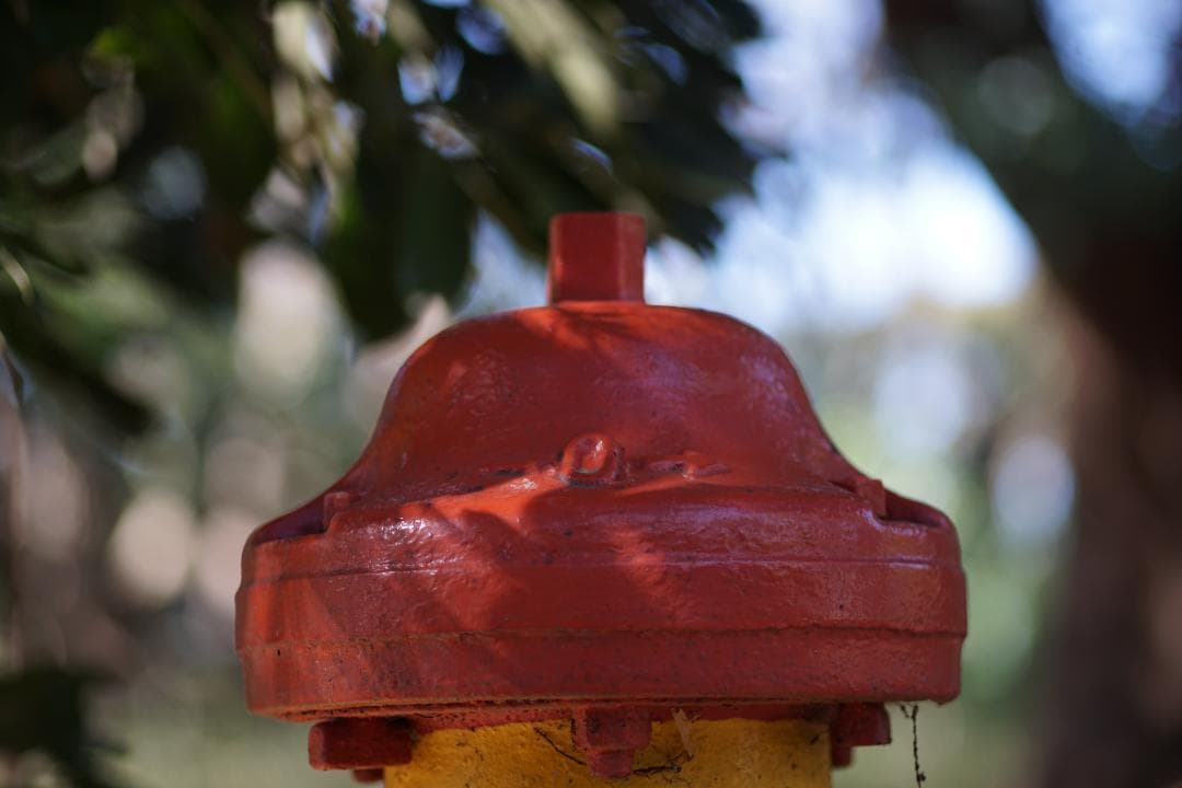 Micro-NIKKOR　105mm　1:2.8　Ai-S　前後キャップ付き