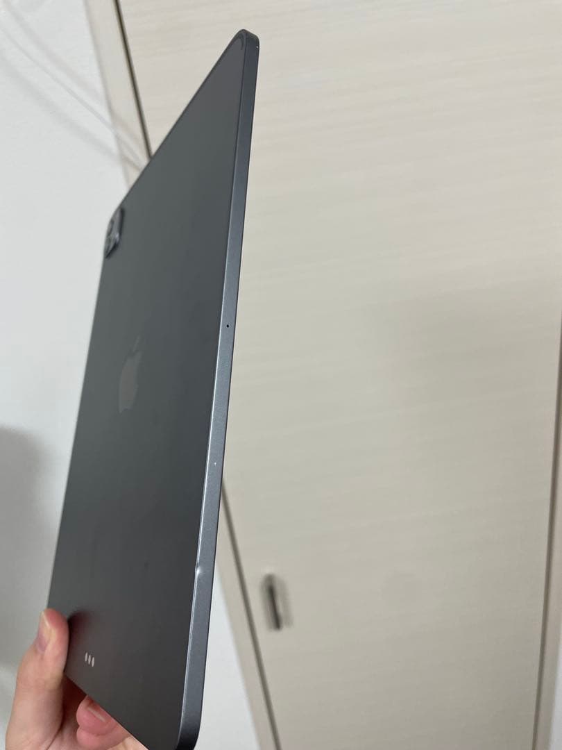 iPad pro 11 第2世代 本体 Apple Pencil第2世代付き