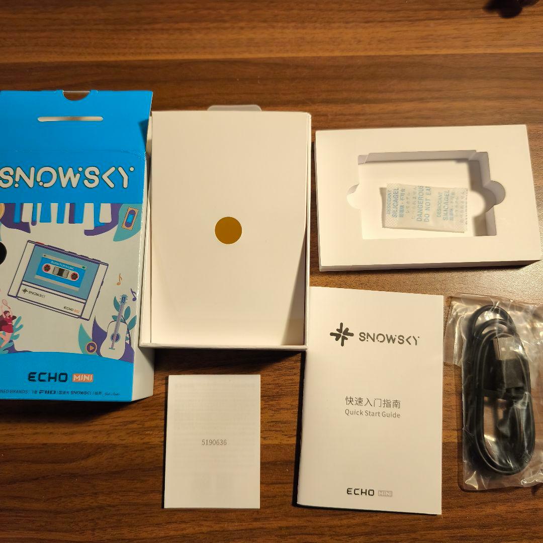 FIIO SKY ECHO MINI ブラック DAP