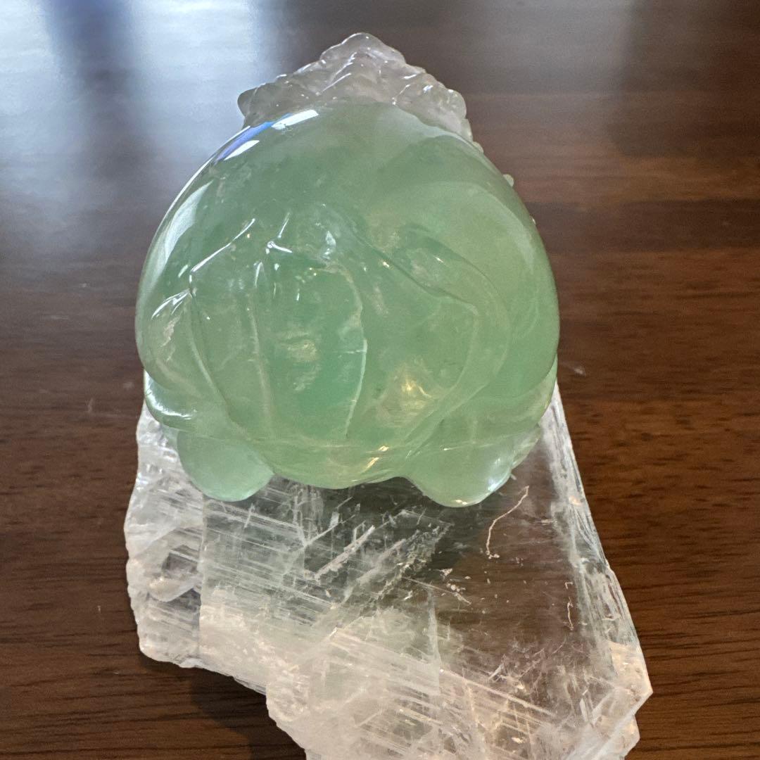 あきずき　フローライト　龍亀　ロングイ　２体セット