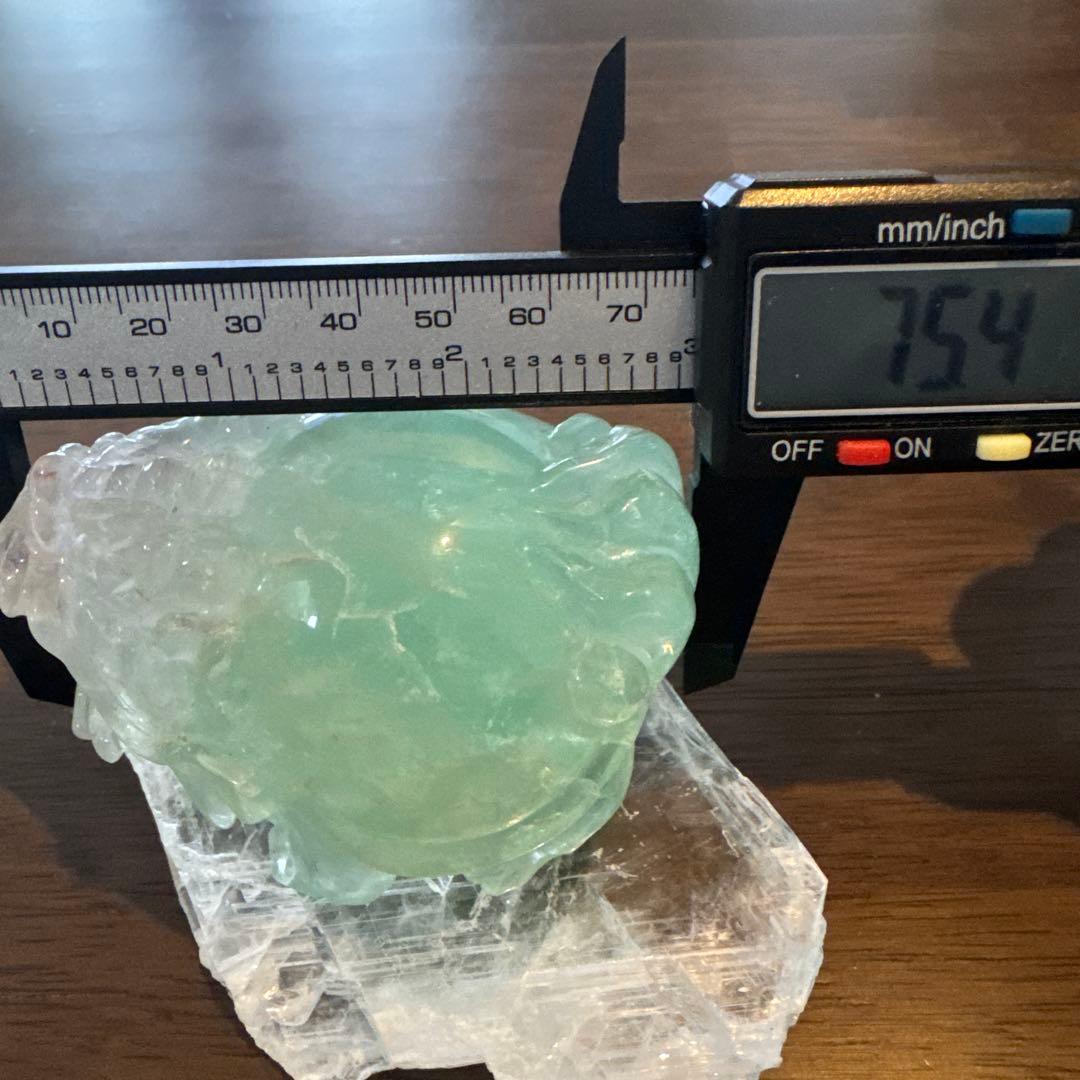 あきずき　フローライト　龍亀　ロングイ　２体セット