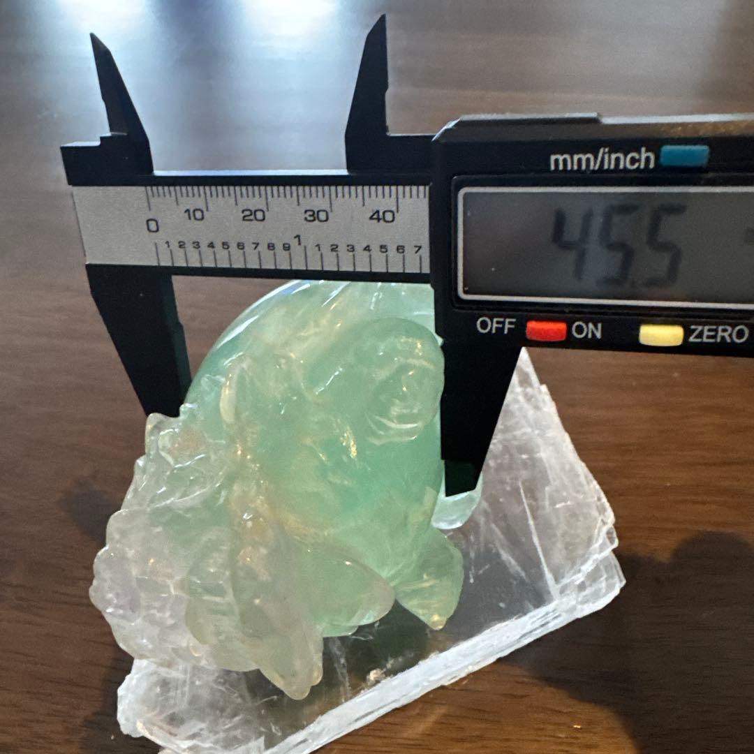 あきずき　フローライト　龍亀　ロングイ　２体セット