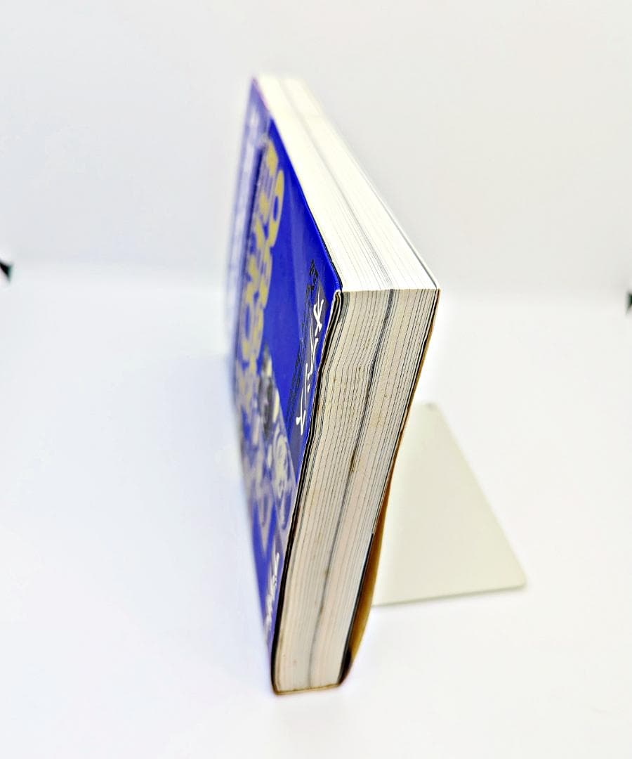 【初版・帯付】 オアシスブラザーズ 長兄ポールが語るリアム&ノエル・ギャラガー