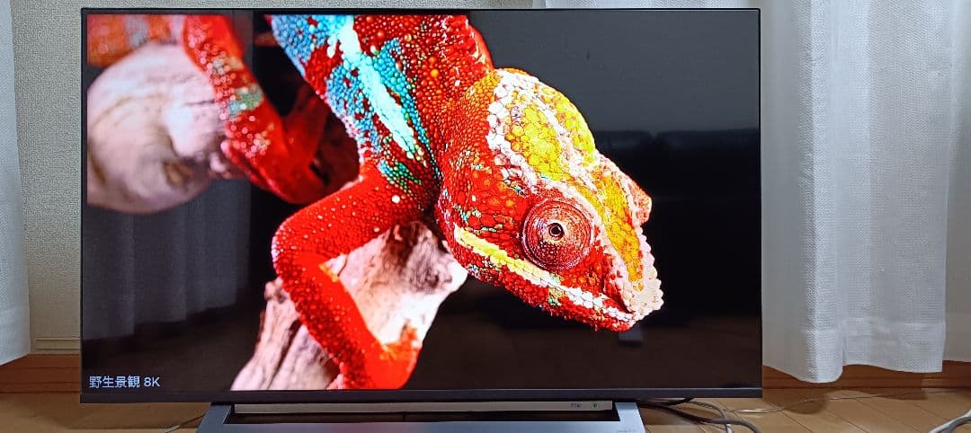 TOSHIBA REGZA 43M530X（2019年製）