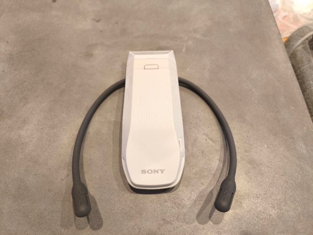 その他 SONY REON POCKET PRO