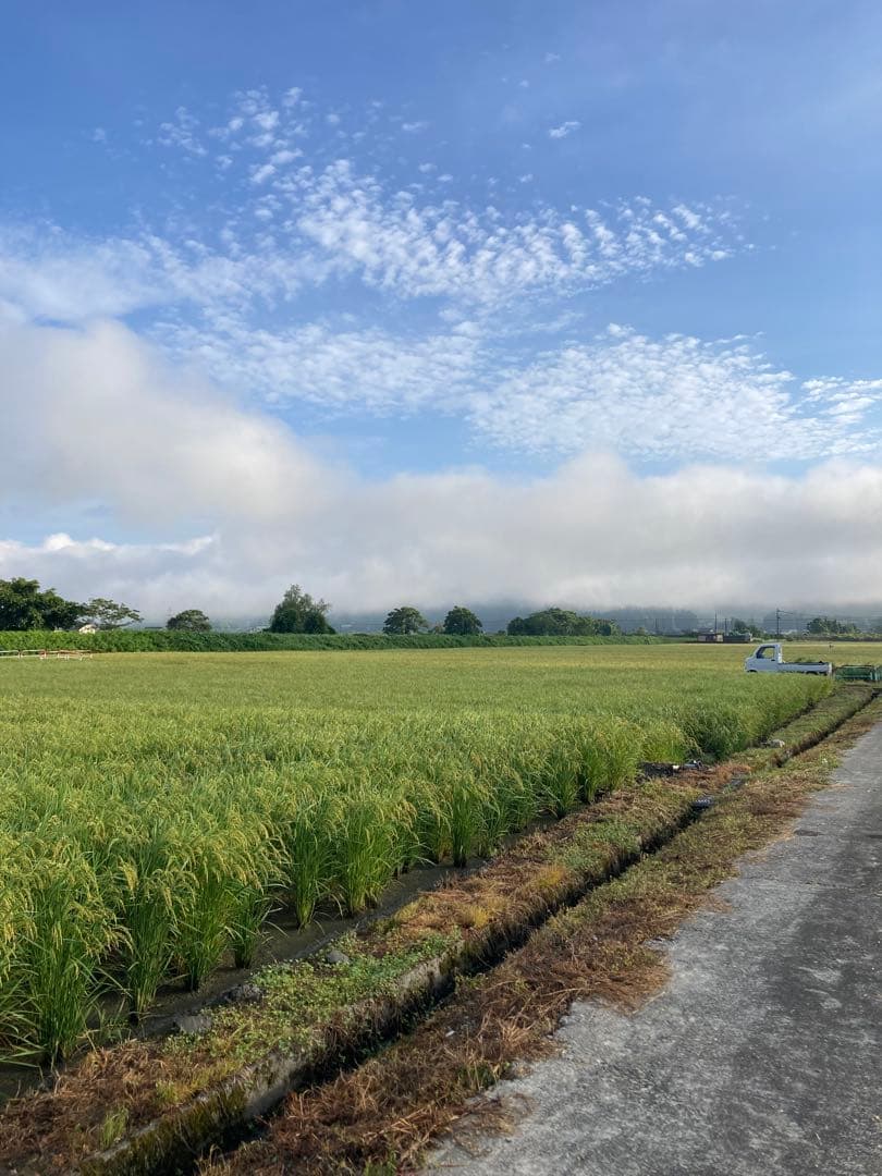 7年魚沼産コシヒカリ白米30kg