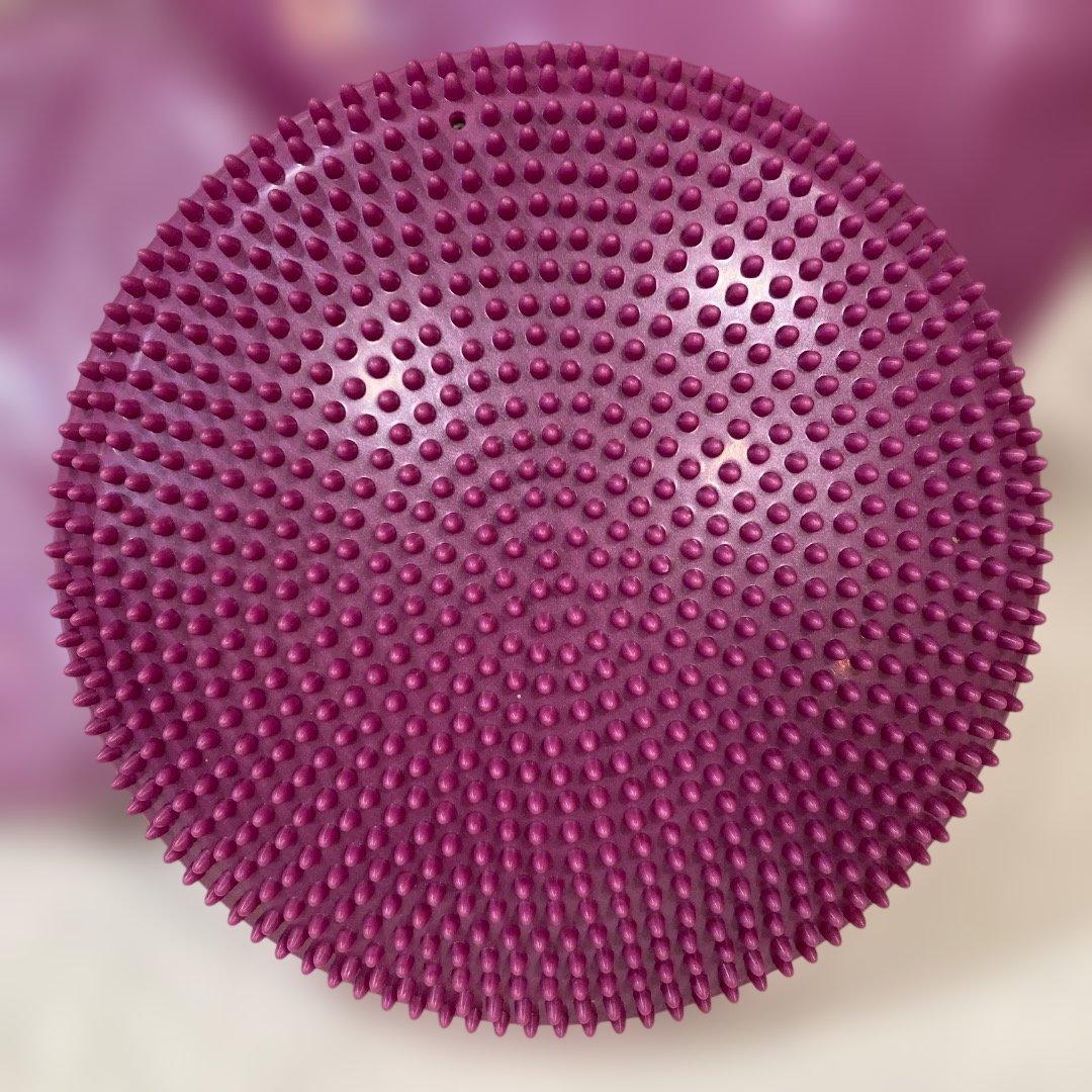 ★3個セット（1個未開封）★犬用アジリティグッズ FitPAWSバランスディスク