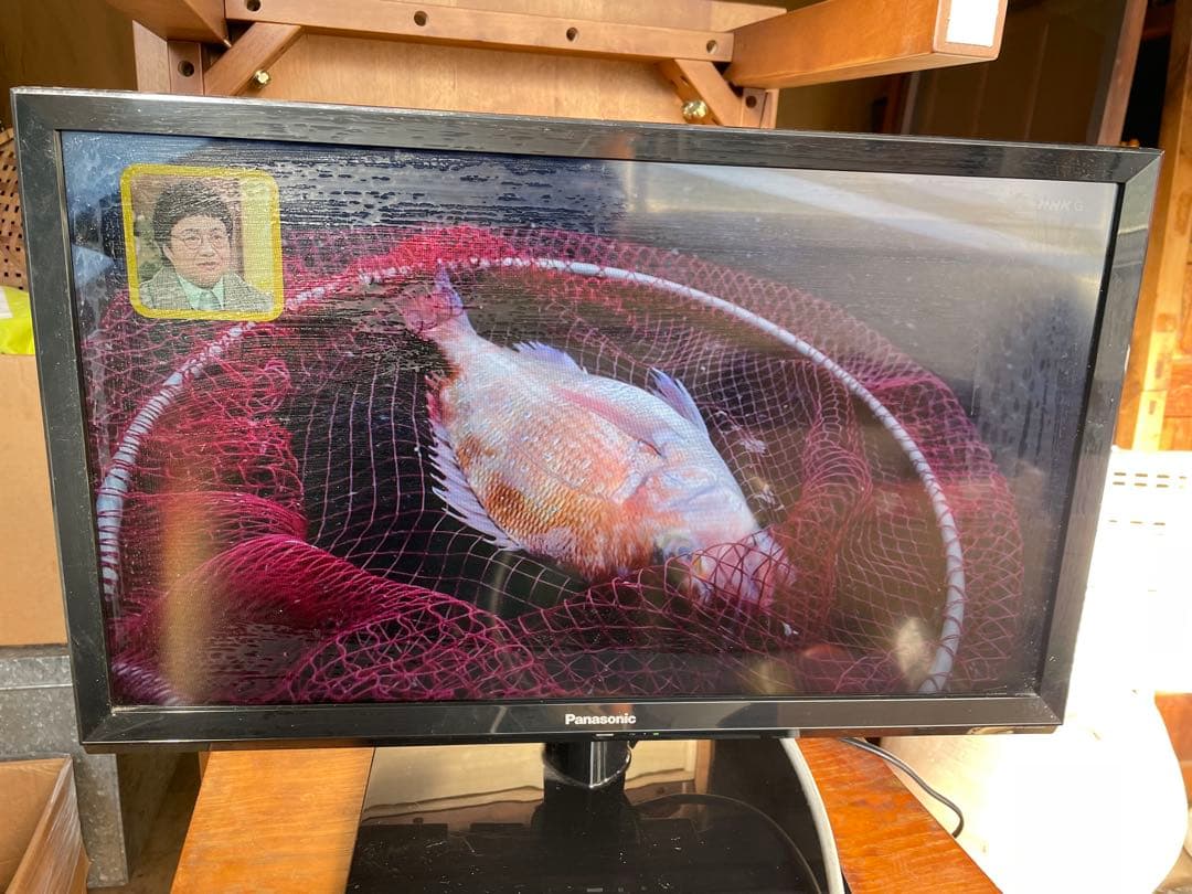 2021年製　Panasonic TH-24H300 24V型液晶テレビ