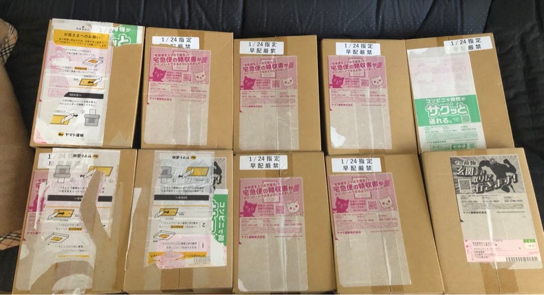 100%本物保証　バトルパートナーズ　ポケモンセンター産　1/24 初版