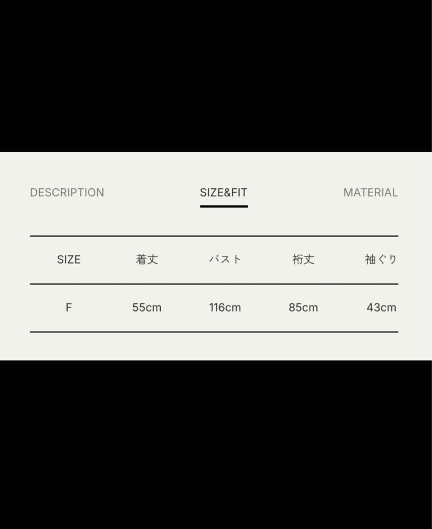 【新品】anuke Embroidery Mesh Tops ブラック