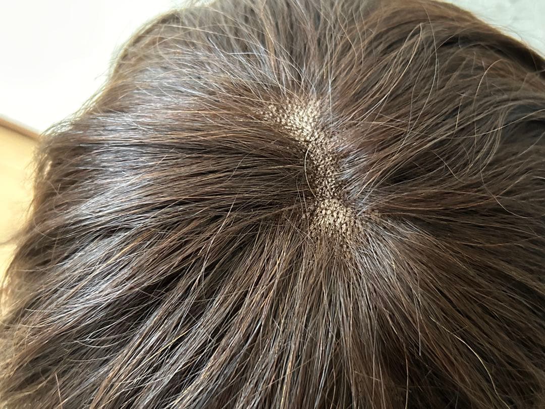 ジュリアオージェ　ブラウン ショート　ウィッグ　アートネイチャー　メッシュ