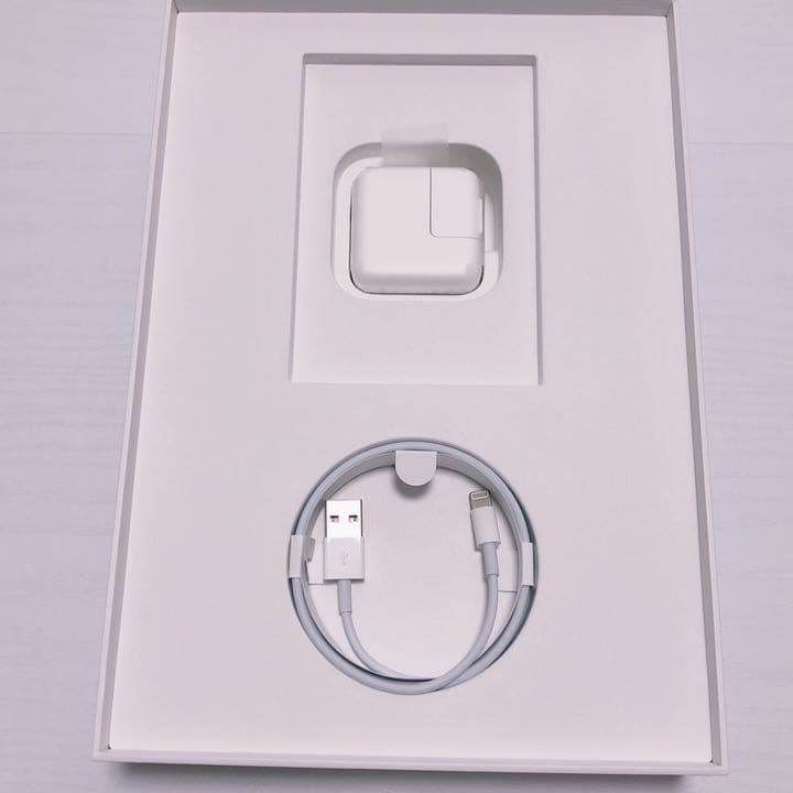 APPLE iPad Air IPAD AIR WI-FI 256GB 指紋認証