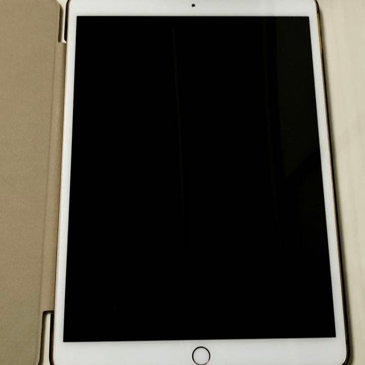 APPLE iPad Air IPAD AIR WI-FI 256GB 指紋認証