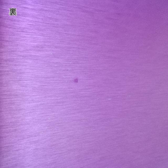 ニコラ・テスラ　ポジティブエナジー・パープルプレート　L　電磁波対策　波動