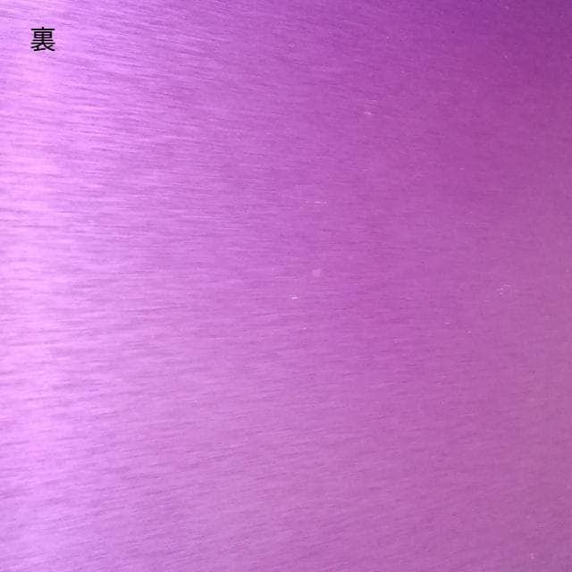 ニコラ・テスラ　ポジティブエナジー・パープルプレート　L　電磁波対策　波動