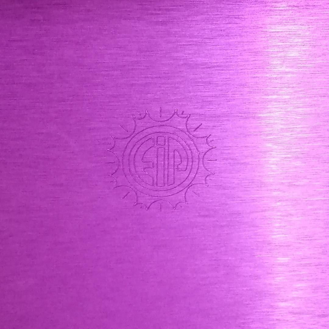 ニコラ・テスラ　ポジティブエナジー・パープルプレート　L　電磁波対策　波動