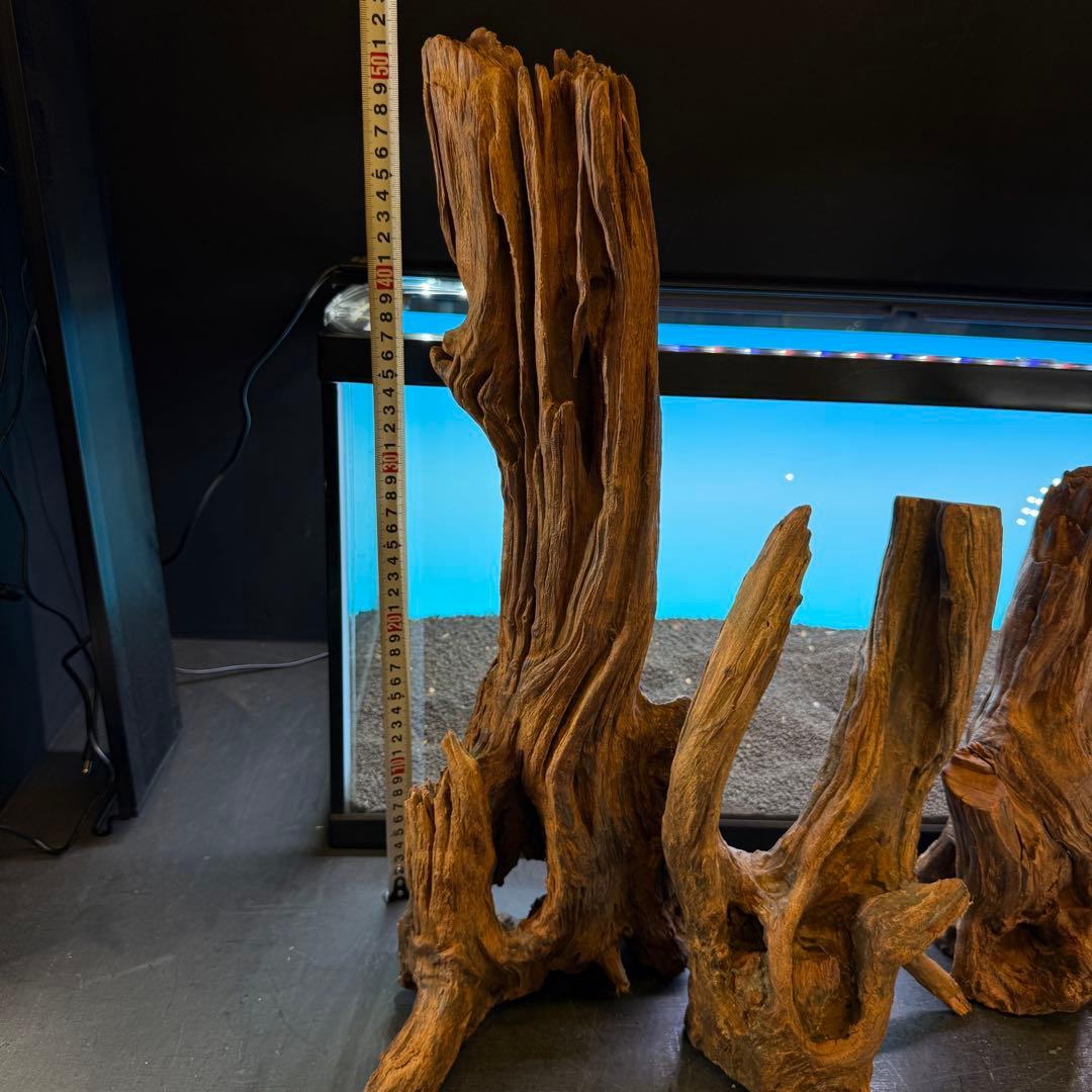 MRW-6798 赤系流木4本セット　90cm水槽用　切株　一点物　アクアリウム