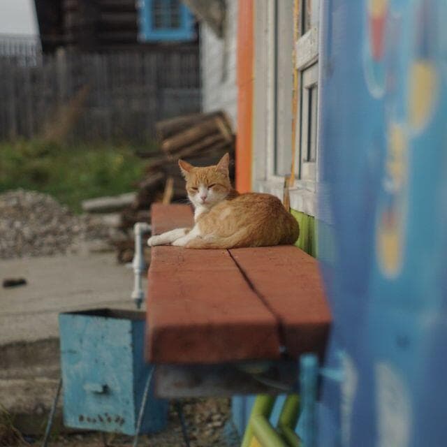 52　新品同様【分解洗浄済】後期型　ジュピター 8 　2/50 L39