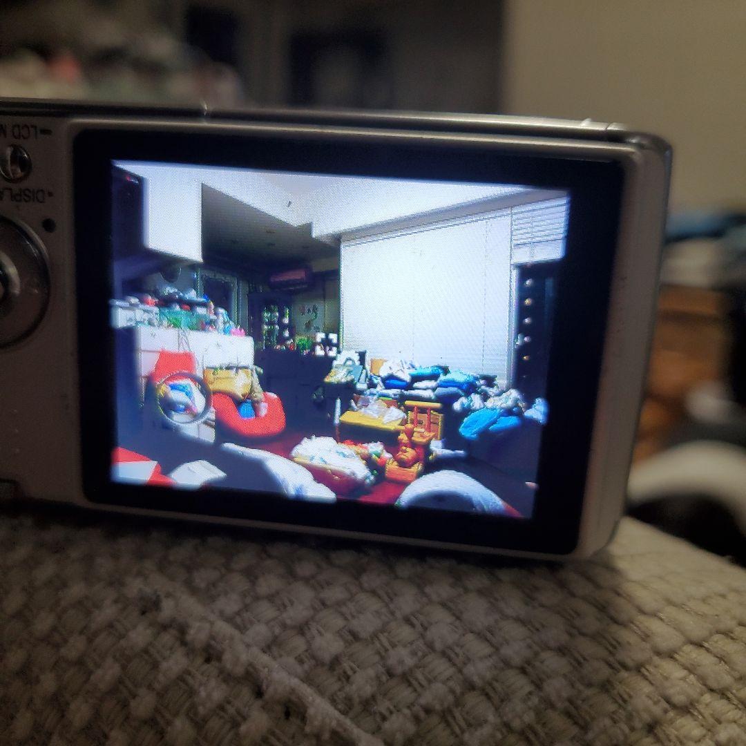 (TOKYOOWL専用)Panasonic DMC-FX01 デジタルカメラ