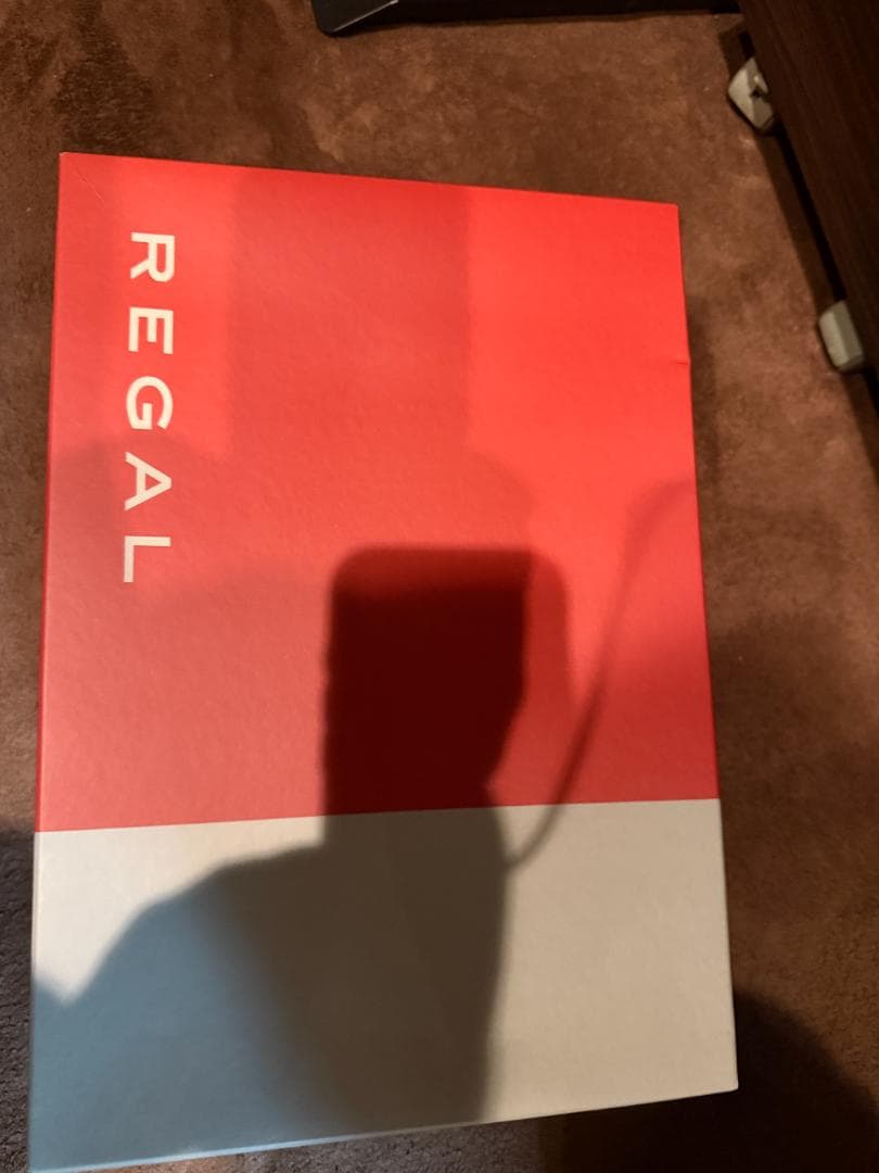 ダークブラウン スエード レースアップシューズ REGAL　超美品ゴアテックス