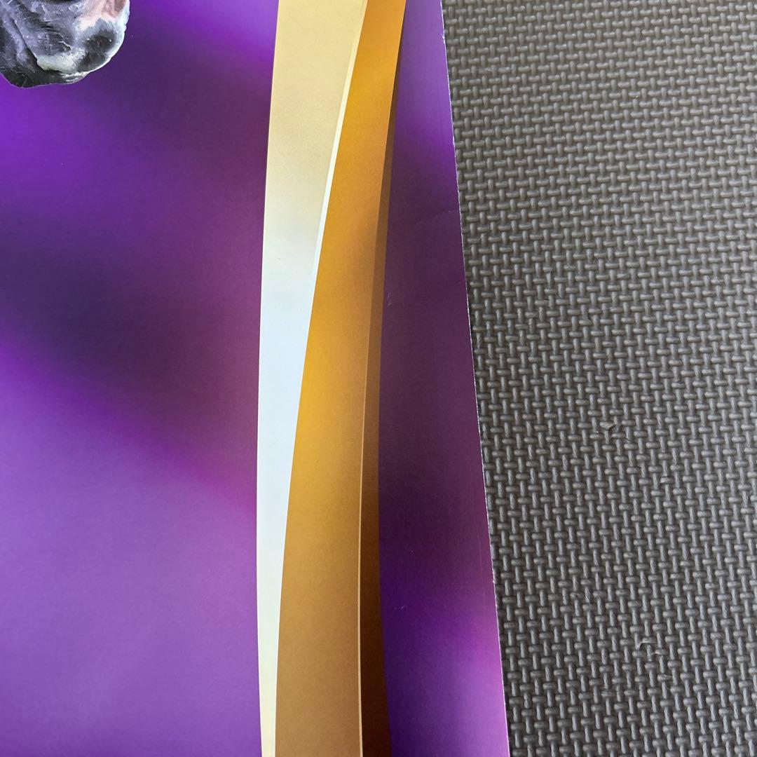 イクイノックス　ポスター　第166回天皇賞秋