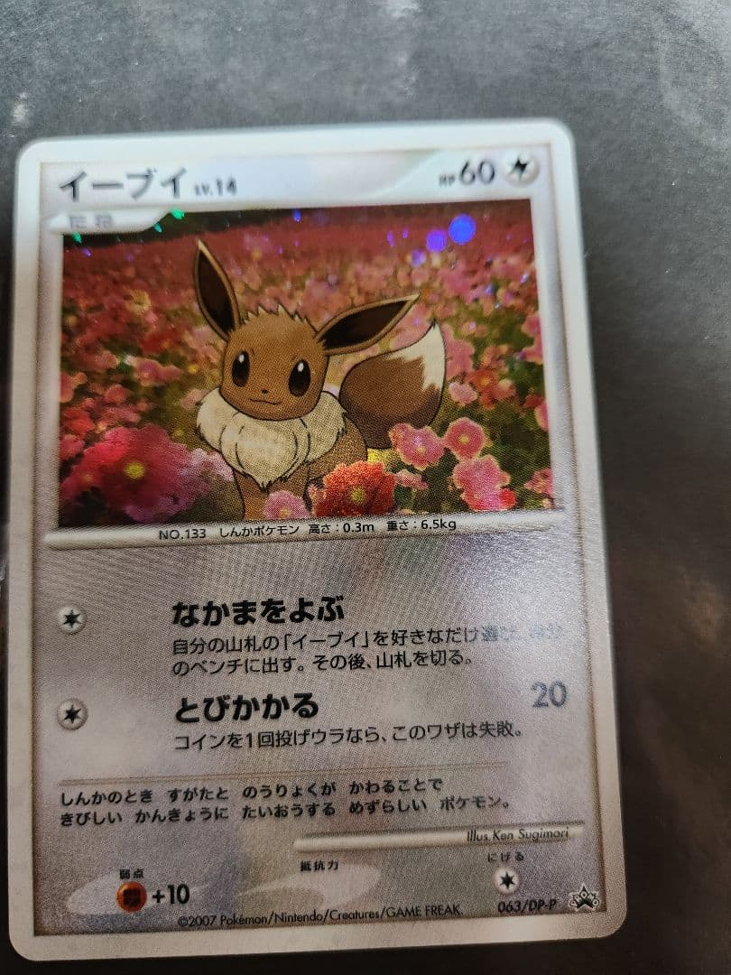 イーブイ。プロモ。2007年とりかえっこDP イベント会場にて。キラです。