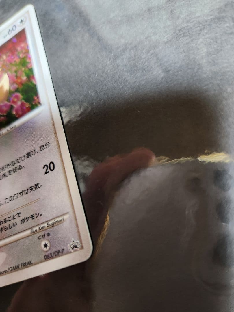 イーブイ。プロモ。2007年とりかえっこDP イベント会場にて。キラです。