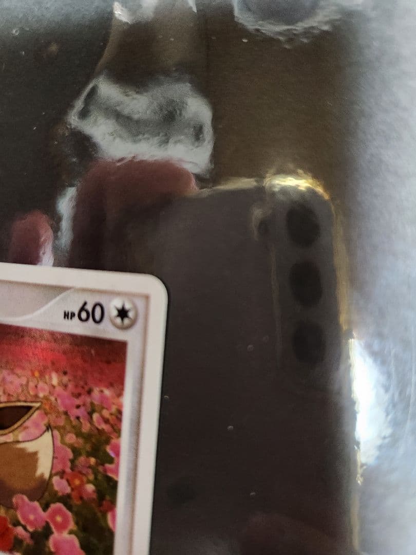 イーブイ。プロモ。2007年とりかえっこDP イベント会場にて。キラです。