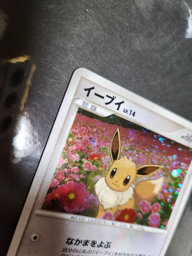 イーブイ。プロモ。2007年とりかえっこDP イベント会場にて。キラです。