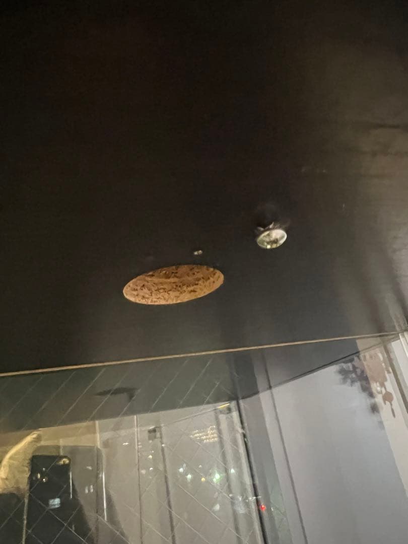 【はるあおshop様】IKEA デトルフ　ガラスケース　【市川市引取限定】