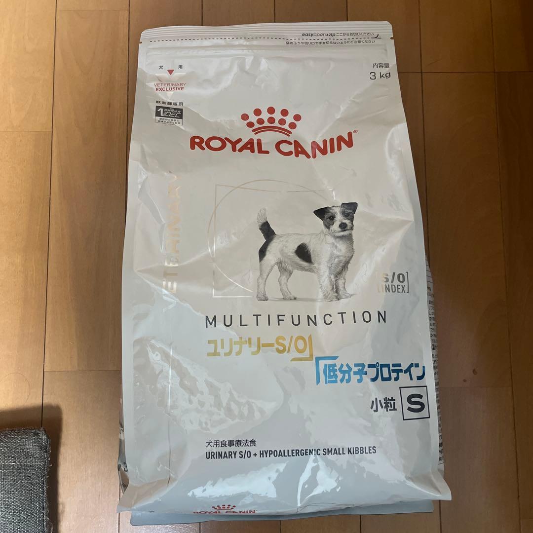 ドッグフード　 CANIN 賞味期限2026.12.20