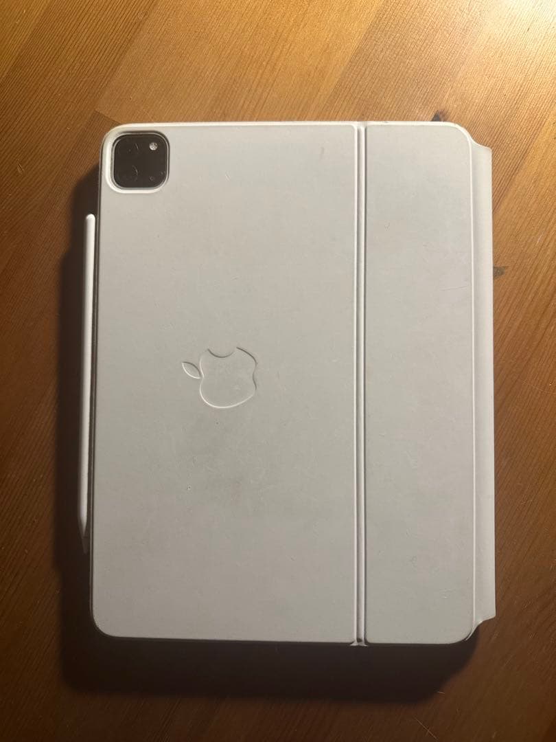 Apple iPad Pro (11インチ) 第2世代 128GB セット販売