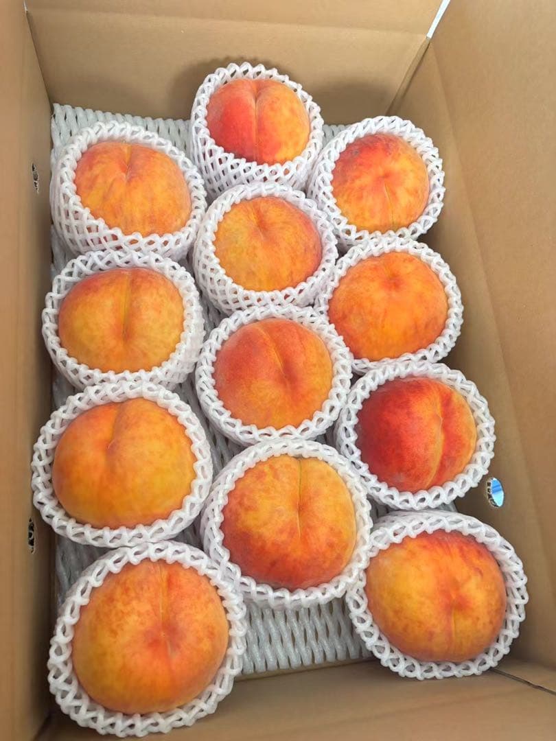 ワッサー桃4.5kg*3箱クール便9/4日