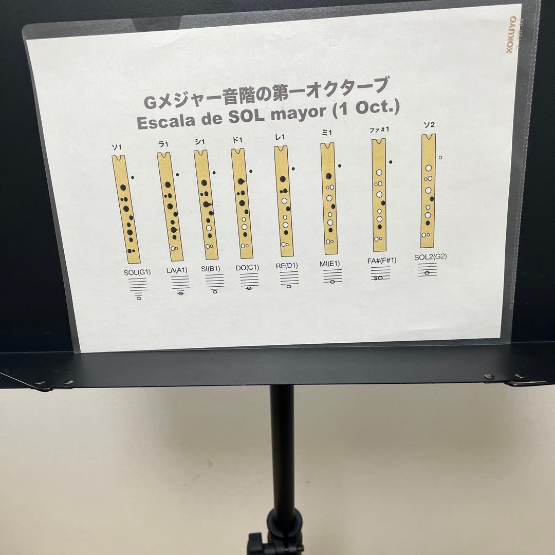 ケーナとケナティカ